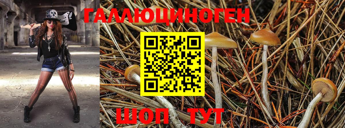 Галлюциногенные грибы ЛСД  Псилоцибиновые грибы мухоморы  Вход с VPN  Сухой Лог 